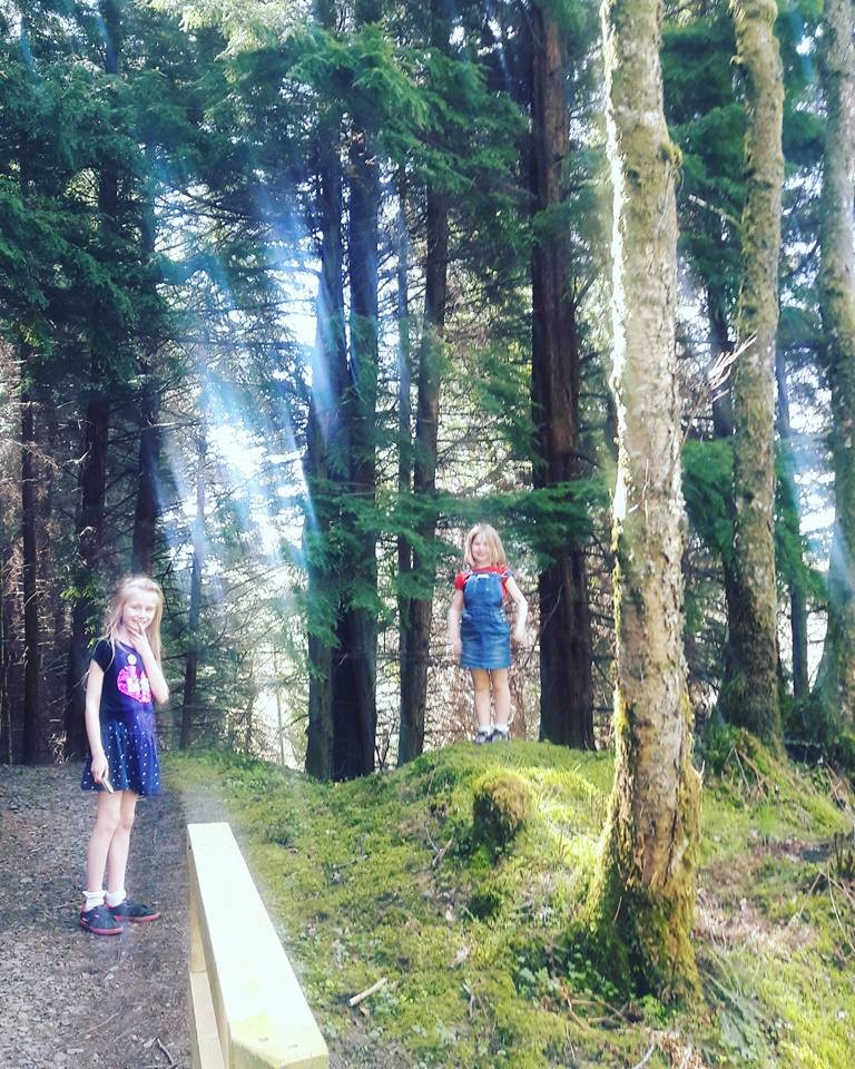 Kielder Forest