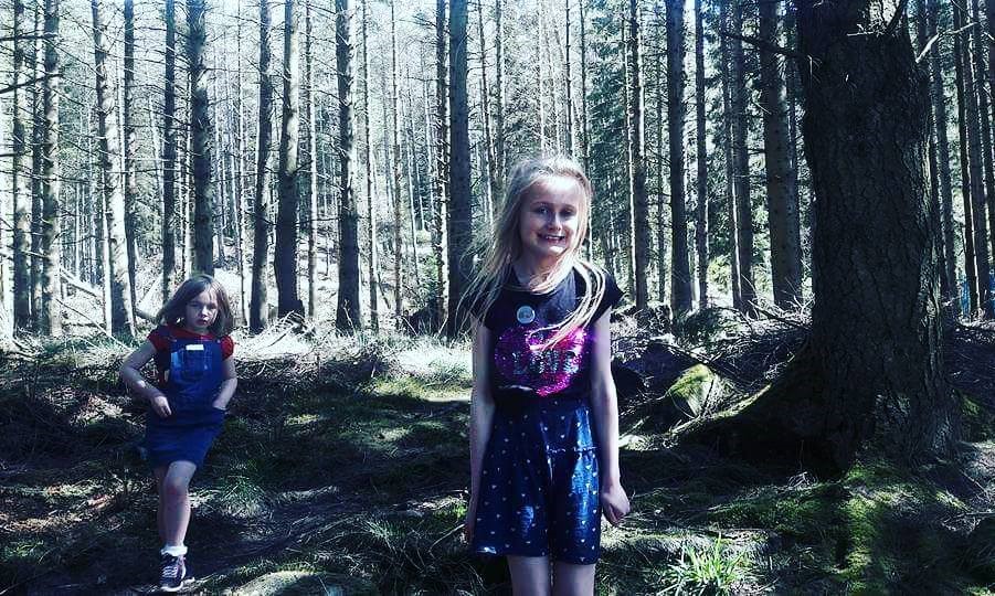 Kielder Forest