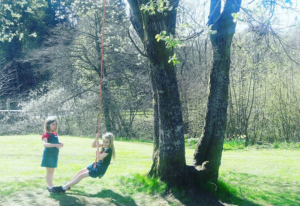 Ropeswing Kielder Forest