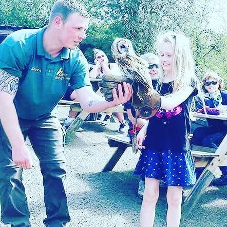 Birds of Prey Leaplish Kielder