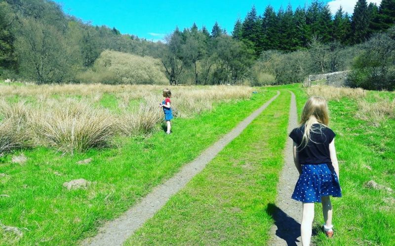 Kielder Water & Forest Park, Wild At Kielder Festival