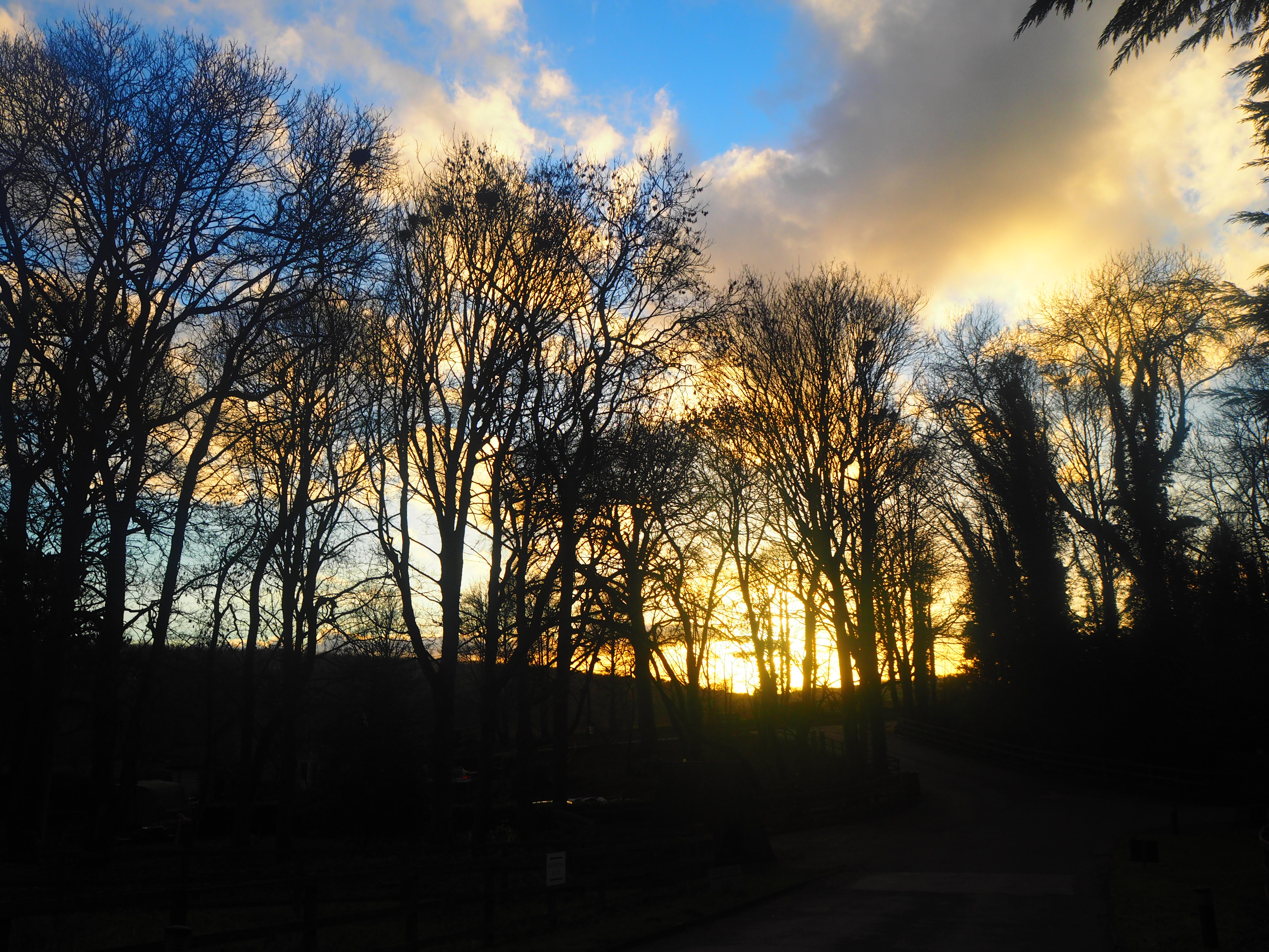 Sunset New Years Day Raywell Hall Country Lodges