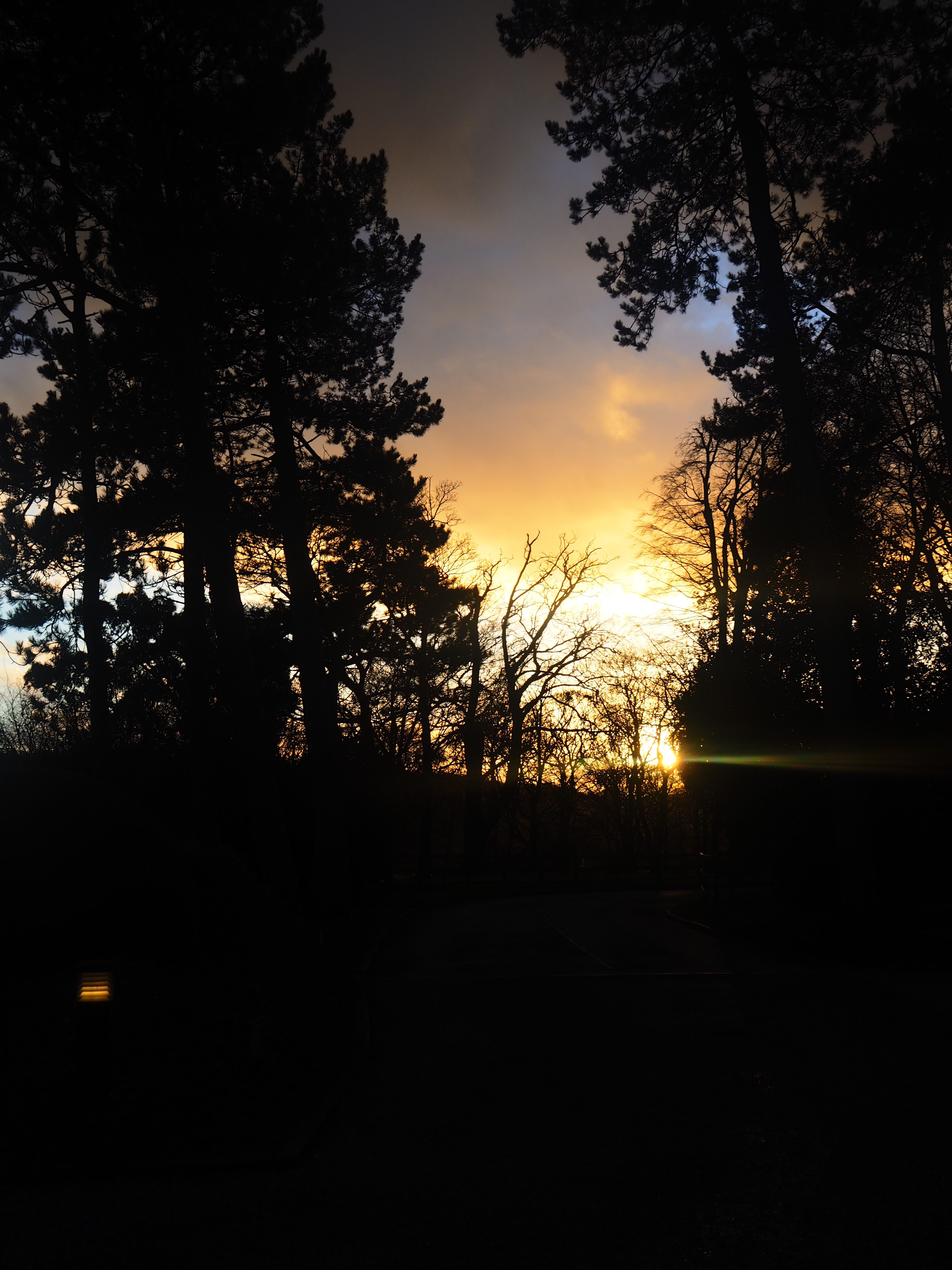 Sunset New Years Day Raywell Hall Country Lodges