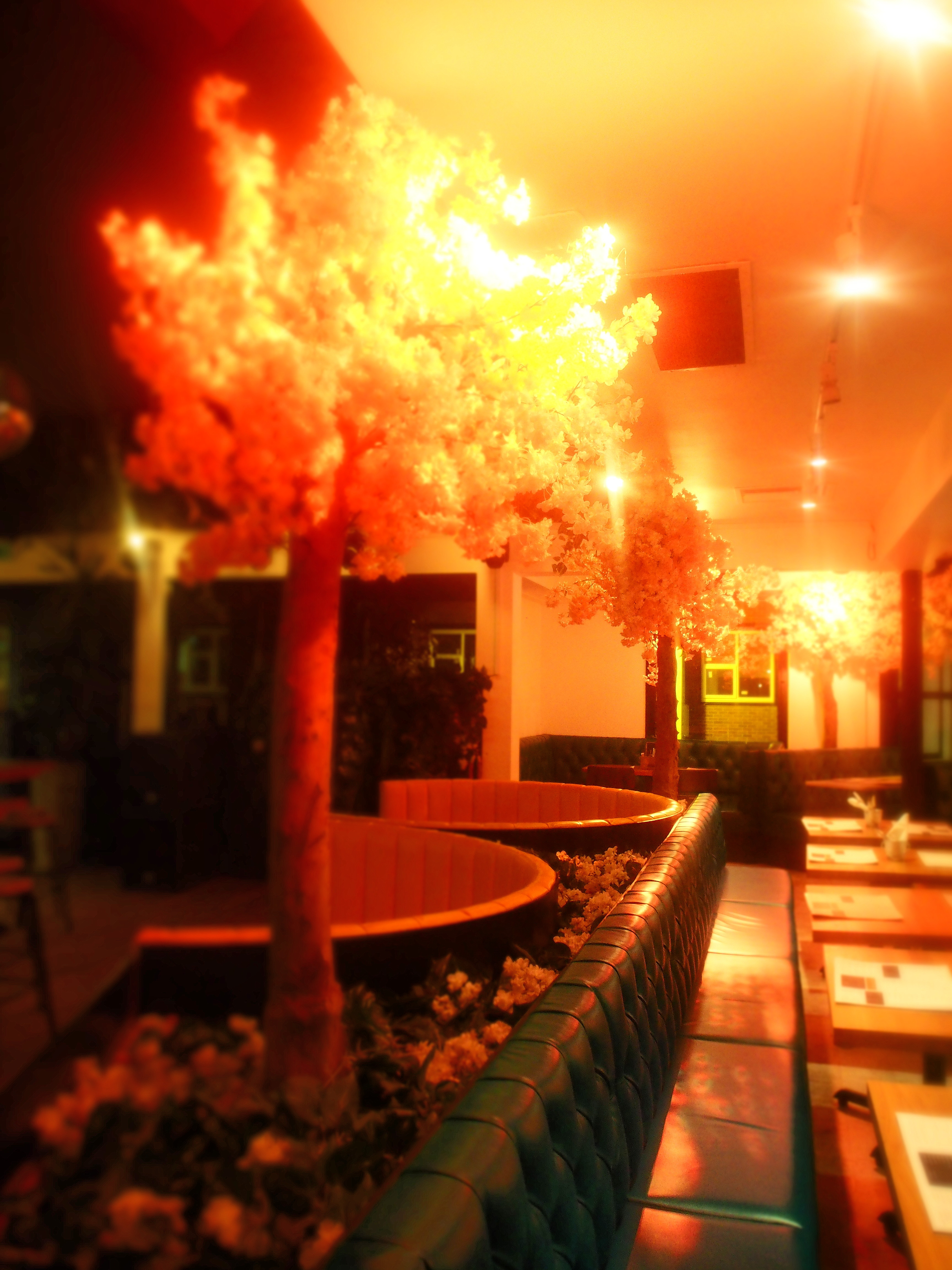 808 Bar & Kitchen Sunderland Safari Restaurant Week