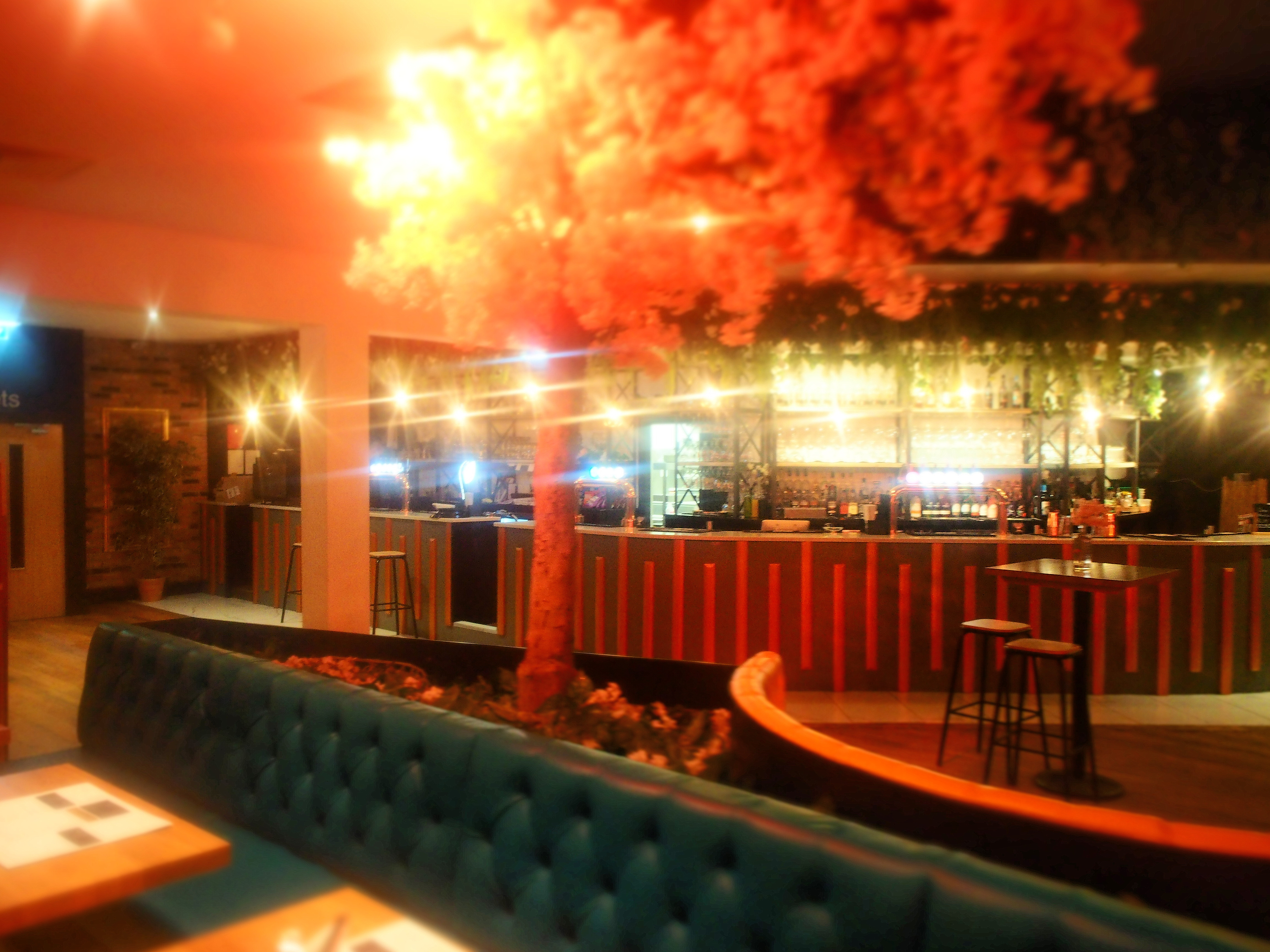 808 Bar & Kitchen Sunderland Safari Restaurant Week